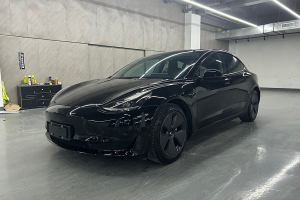 Model 3 特斯拉 標(biāo)準(zhǔn)續(xù)航后驅(qū)升級(jí)版 3D6