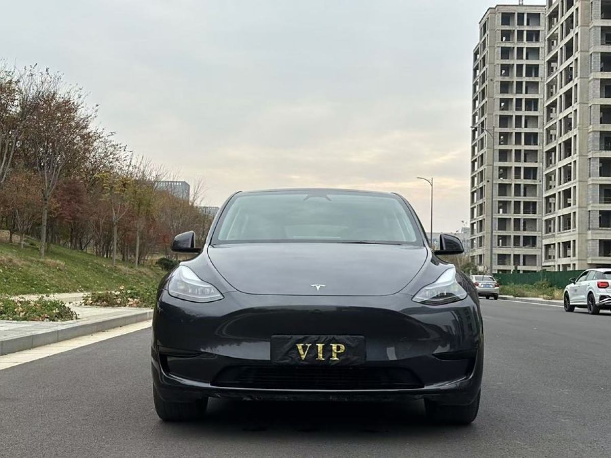 特斯拉 Model 3  2020款 改款 長續(xù)航后輪驅動版圖片