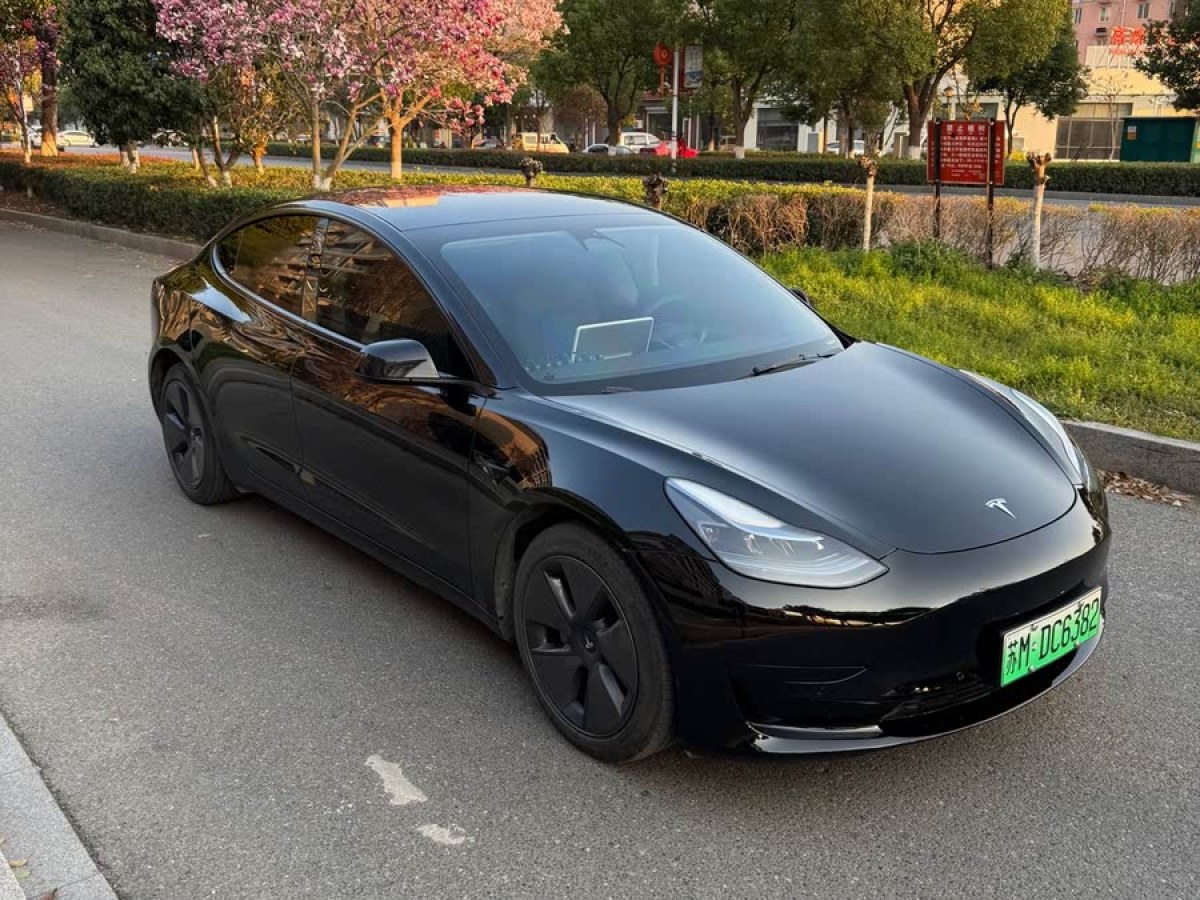 特斯拉 Model 3  2022款 后輪驅(qū)動版圖片