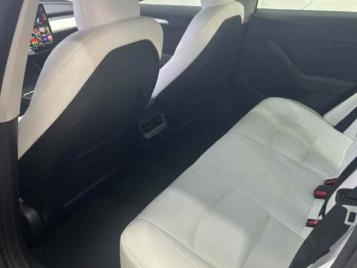 特斯拉 Model S  2021款 Performance 高性能版圖片