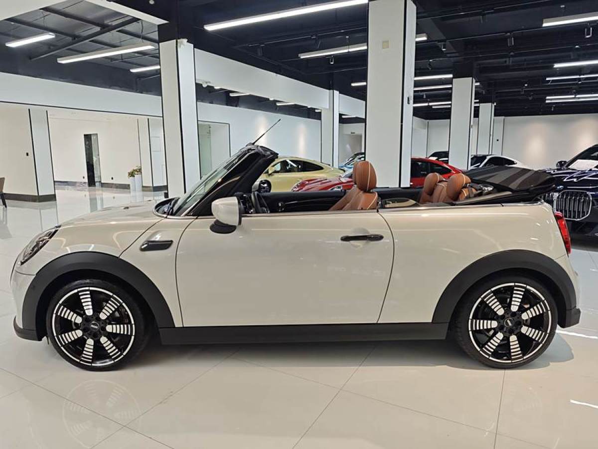 MINI MINI  2021款 1.5T COOPER CABRIO 藝術(shù)家圖片