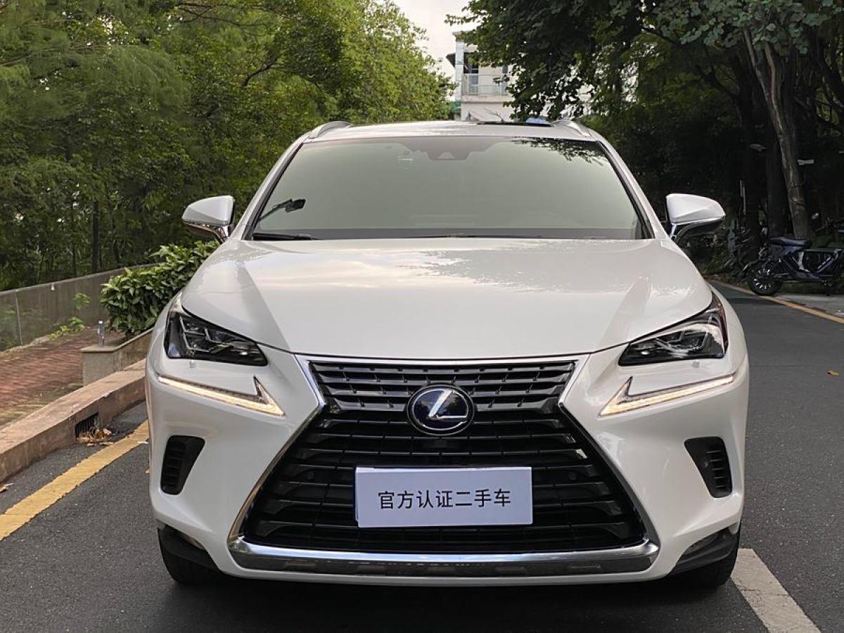 雷克薩斯 NX  2020款 300h 前驅(qū) 鋒越版 國VI圖片