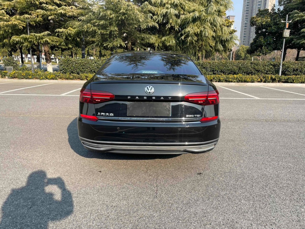 大眾 帕薩特  2019款 330TSI 豪華版圖片