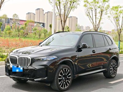 2023年11月 寶馬 寶馬X5 xDrive 40Li M運(yùn)動(dòng)曜夜套裝圖片