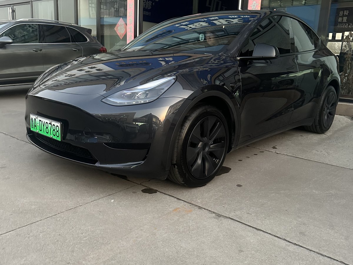 特斯拉 Model Y  2020款 改款 長續(xù)航后輪驅(qū)動版圖片