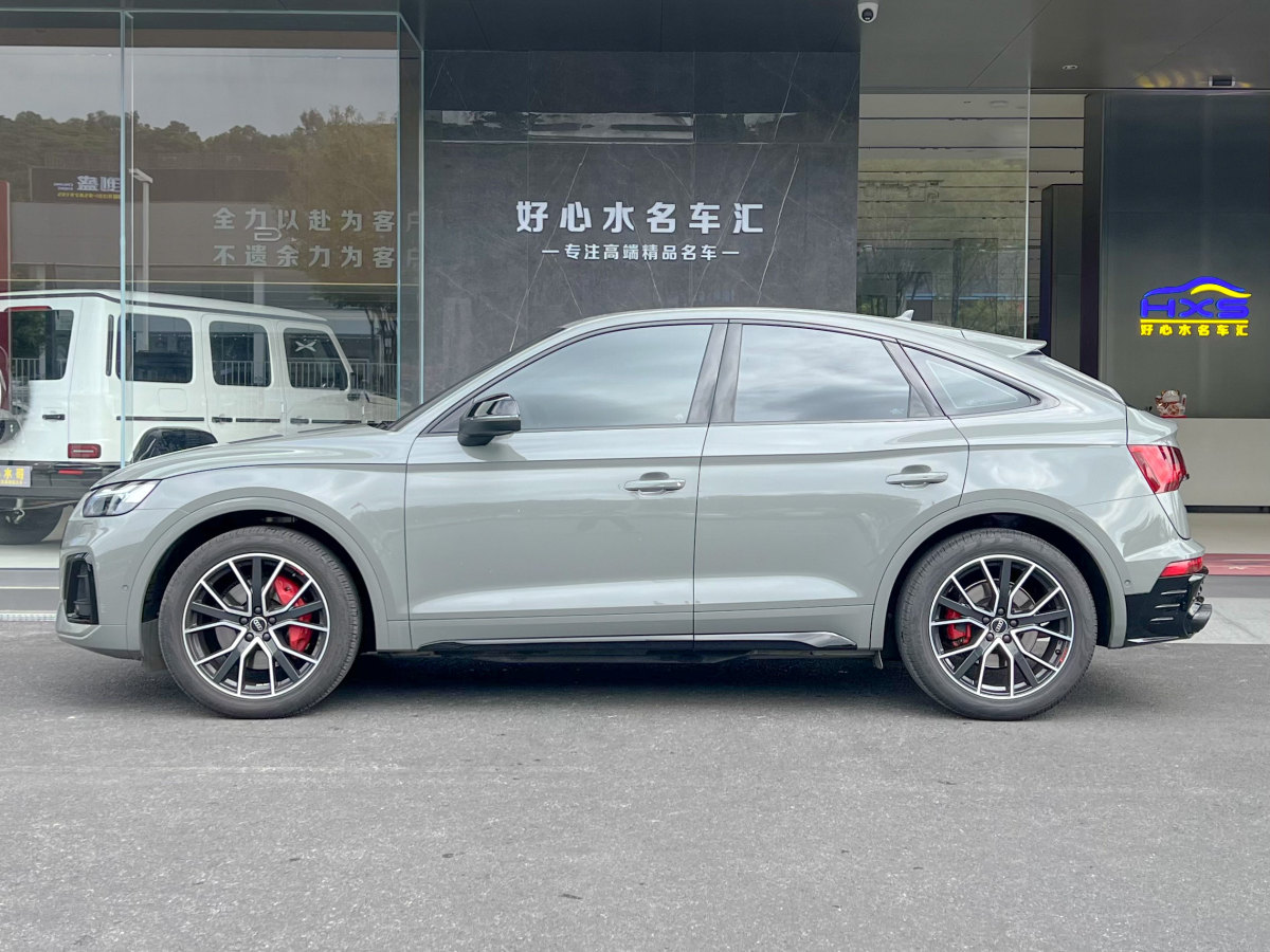 奧迪 奧迪SQ5  2014款 SQ5 3.0 TFSI quattro圖片