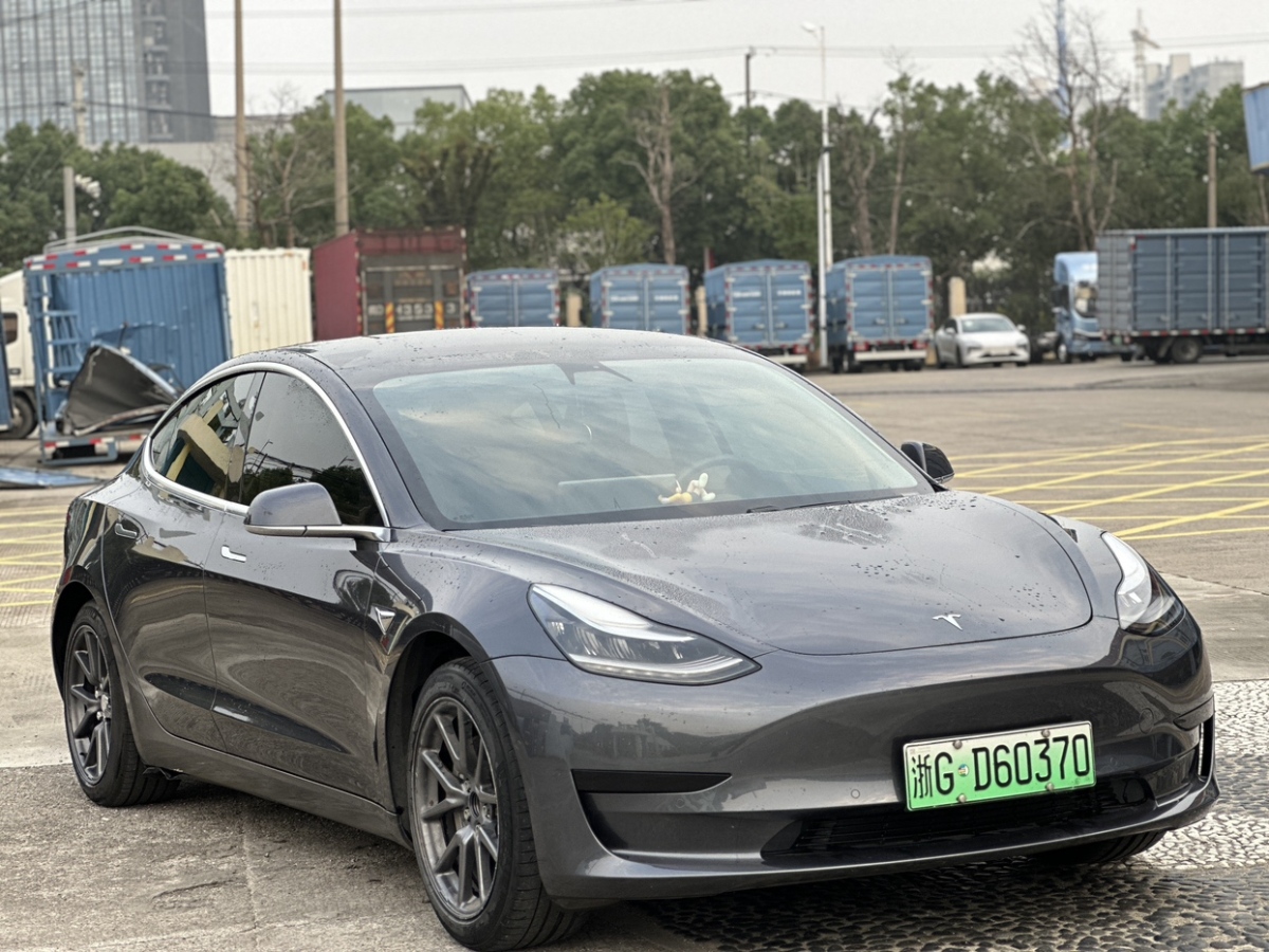 特斯拉 Model Y  2020款 標準續(xù)航后驅(qū)升級版圖片