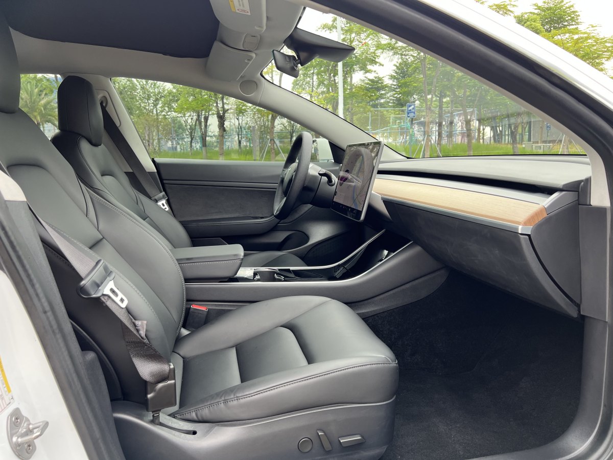 特斯拉 Model 3  2019款 標(biāo)準(zhǔn)續(xù)航后驅(qū)升級(jí)版圖片