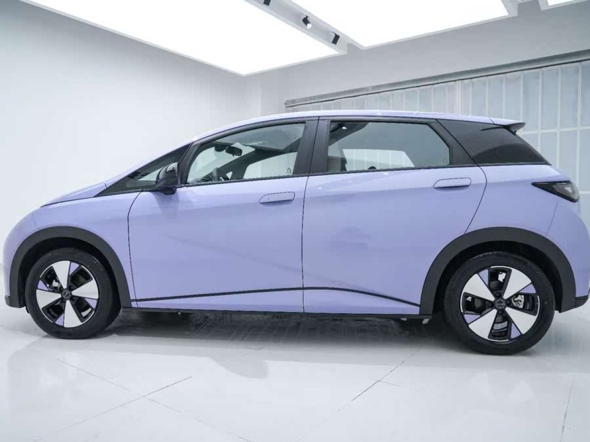 比亞迪 海豚  2023款 420km 時尚版圖片
