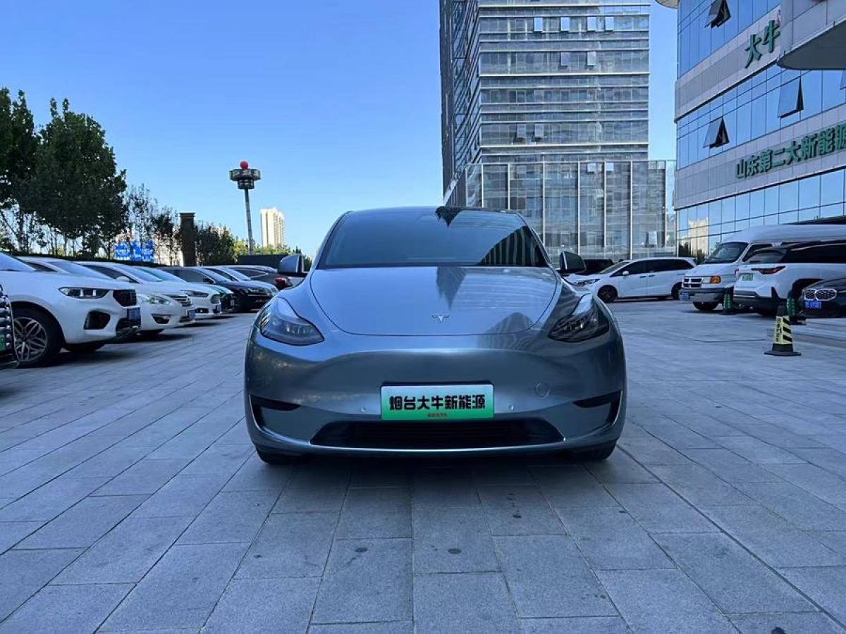 特斯拉 Model Y  2020款 改款 長續(xù)航后輪驅(qū)動(dòng)版圖片