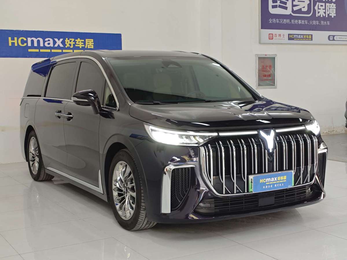 嵐圖 夢(mèng)想家  2024款 PHEV 超長(zhǎng)續(xù)航旗艦版圖片