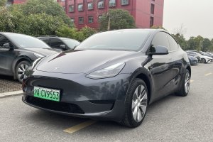 Model 3 特斯拉 后轮驱动版