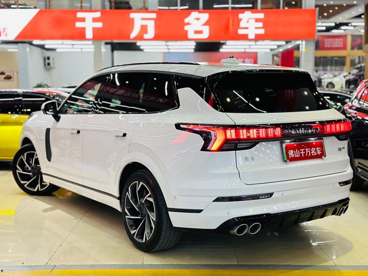 領(lǐng)克 領(lǐng)克09新能源  2021款 2.0T PHEV Halo 六座圖片