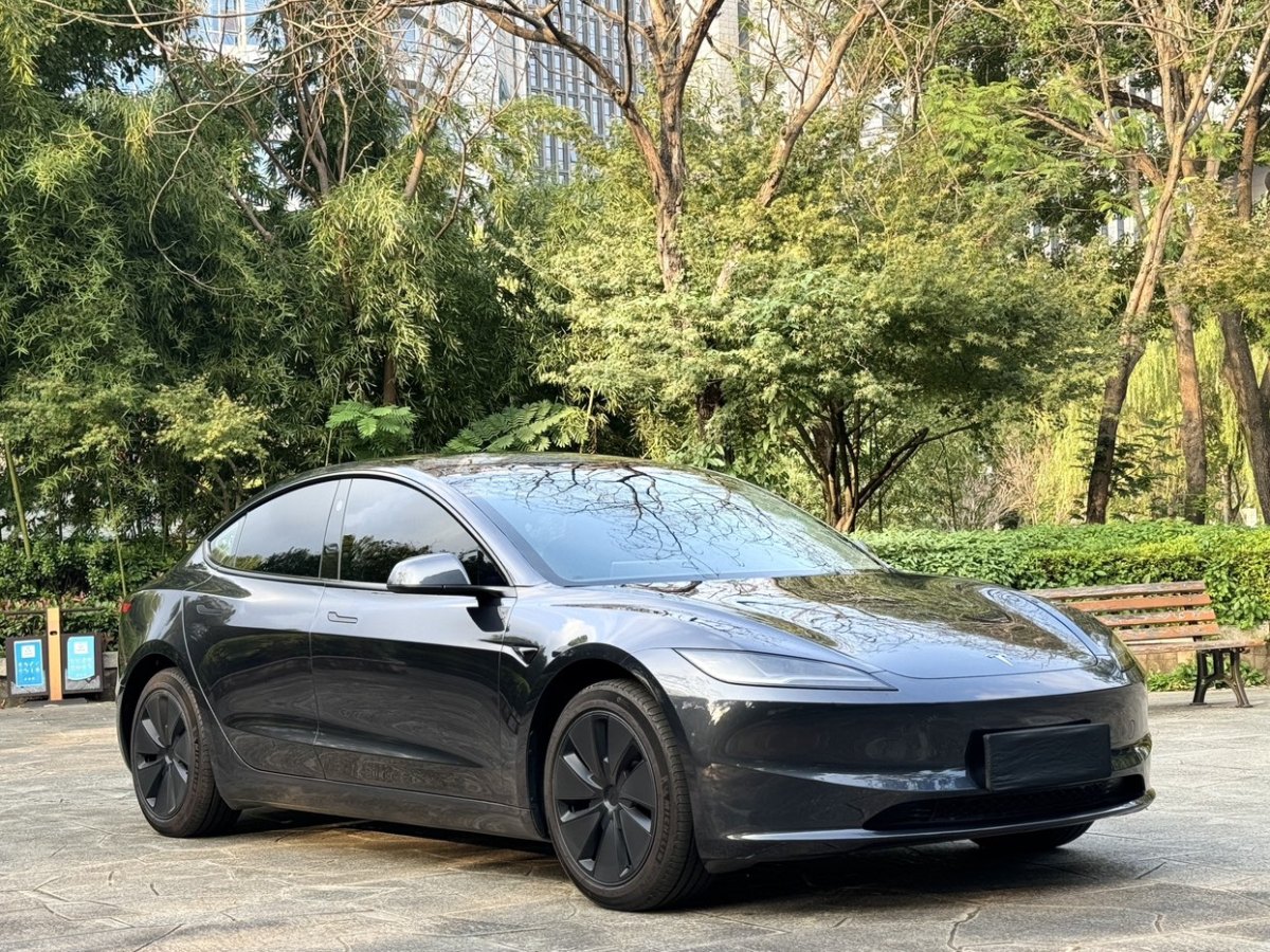 特斯拉 Model 3  2023款 后輪驅(qū)動版圖片