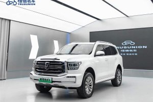 坦克500新能源 坦克 改款 Hi4-T