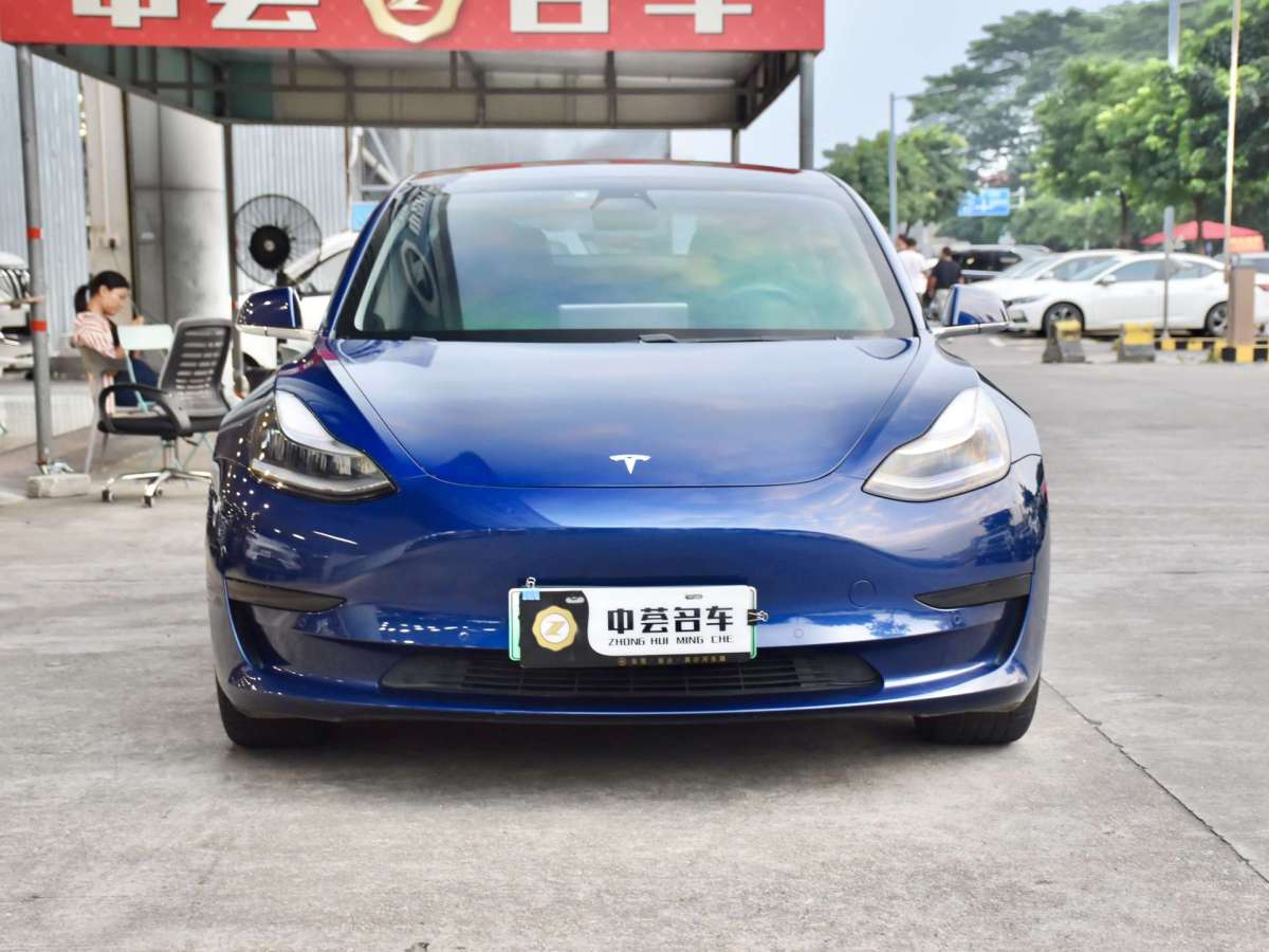 特斯拉 Model 3  2019款 標(biāo)準(zhǔn)續(xù)航后驅(qū)升級(jí)版圖片