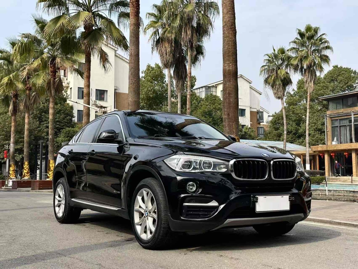 寶馬 寶馬X6  2017款 xDrive35i 領(lǐng)先型圖片