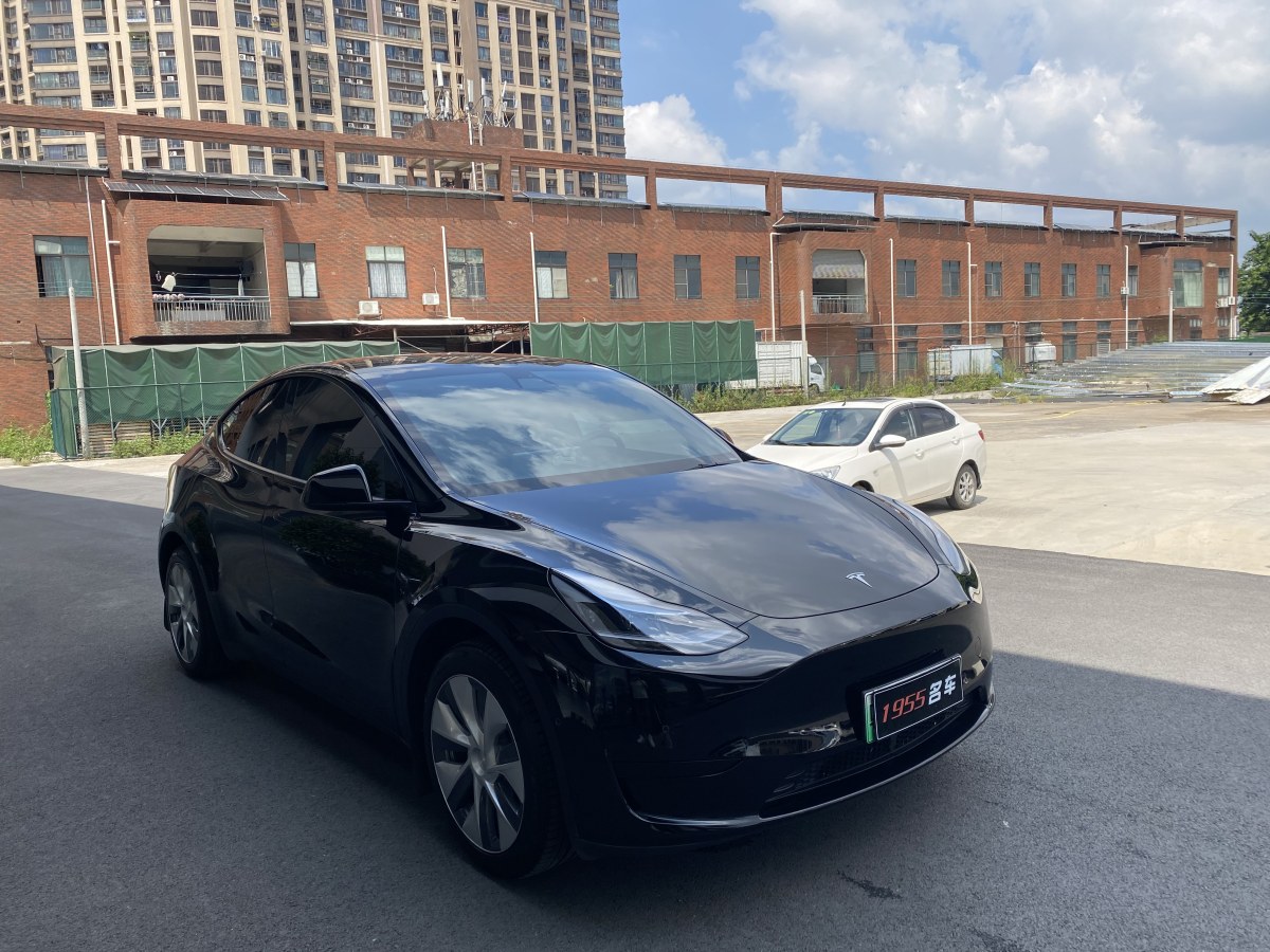 特斯拉 Model Y  2020款 改款 長續(xù)航后輪驅(qū)動版圖片