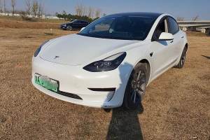 Model 3 特斯拉 改款 標(biāo)準(zhǔn)續(xù)航后驅(qū)升級版