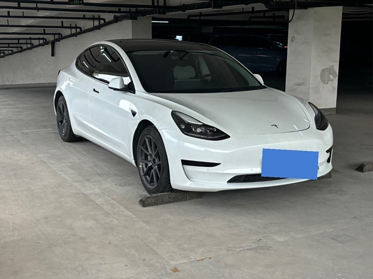 特斯拉 Model 3  2019款 標(biāo)準(zhǔn)續(xù)航后驅(qū)升級(jí)版圖片