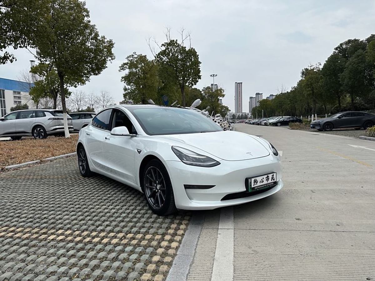 特斯拉 Model 3  2019款 長續(xù)航全輪驅(qū)動版圖片