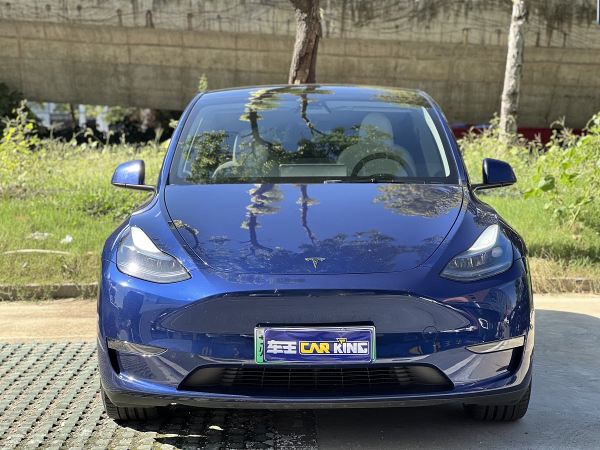 特斯拉 Model Y  2022款 Performance高性能全輪驅(qū)動(dòng)版圖片