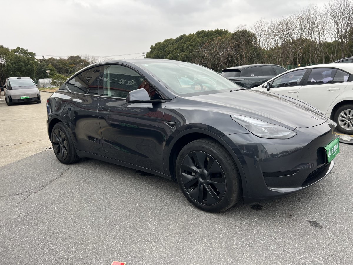 特斯拉 Model 3  2020款 改款 長續(xù)航后輪驅(qū)動版圖片