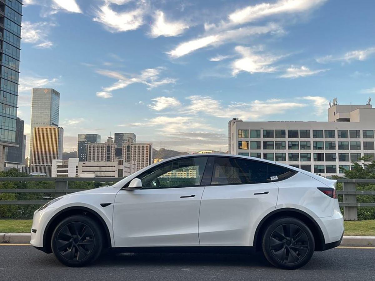 特斯拉 Model Y  2020款 改款 長續(xù)航后輪驅(qū)動版圖片