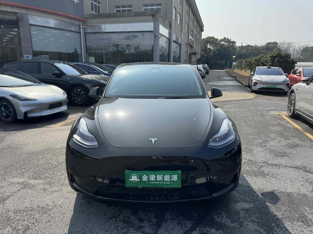 特斯拉 Model 3  2020款 改款 長續(xù)航后輪驅(qū)動(dòng)版圖片