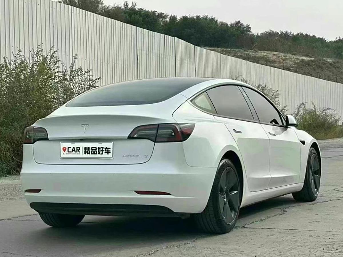 特斯拉 Model 3  2019款 標(biāo)準(zhǔn)續(xù)航后驅(qū)升級版圖片