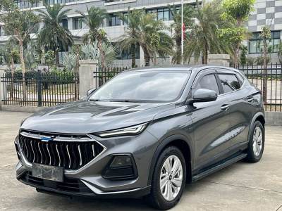 2021年2月 長(zhǎng)安歐尚 長(zhǎng)安歐尚X5 1.6L CVT尊貴型圖片