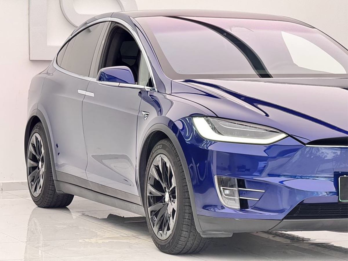 2019年9月特斯拉 Model X  2019款 長(zhǎng)續(xù)航版