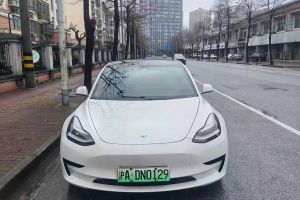Model X 特斯拉 Performance 高性能版