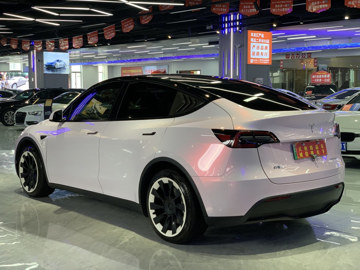 特斯拉 Model 3  2020款 改款 長續(xù)航后輪驅動版圖片