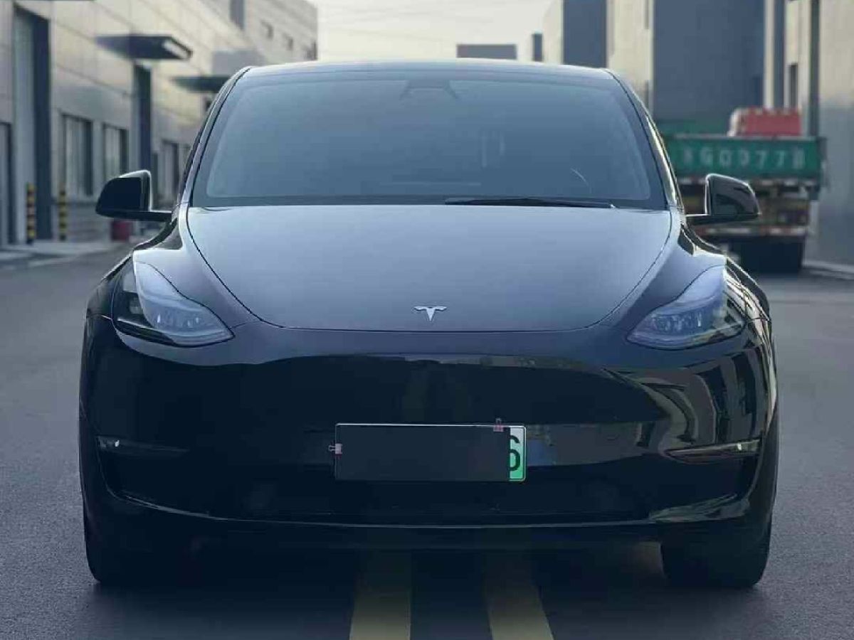 特斯拉 Model 3  2022款 Performance高性能全輪驅(qū)動版圖片