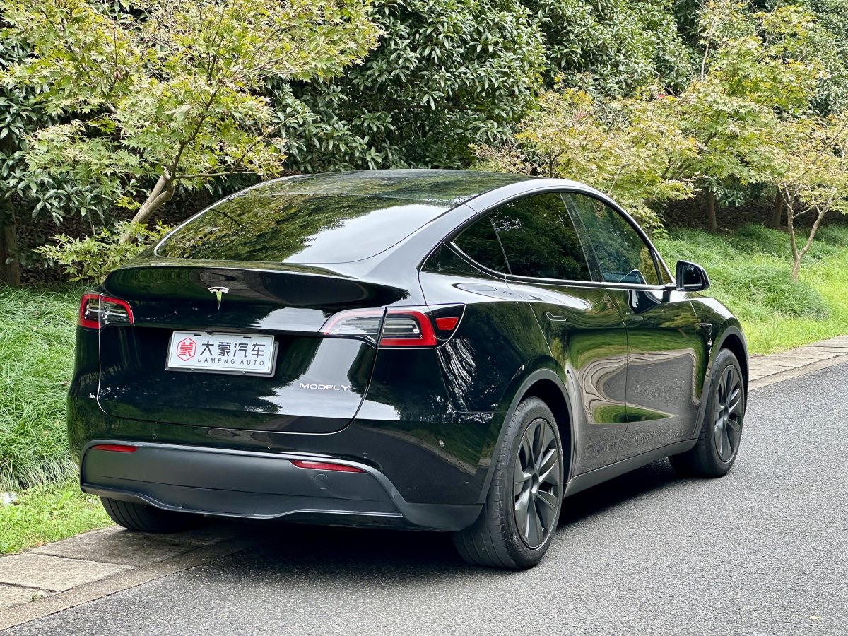 特斯拉 Model Y  2023款 煥新版 后輪驅(qū)動圖片