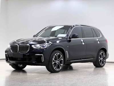 2023年8月 寶馬 寶馬X5 改款 xDrive 40Li 尊享型M運(yùn)動(dòng)套裝圖片