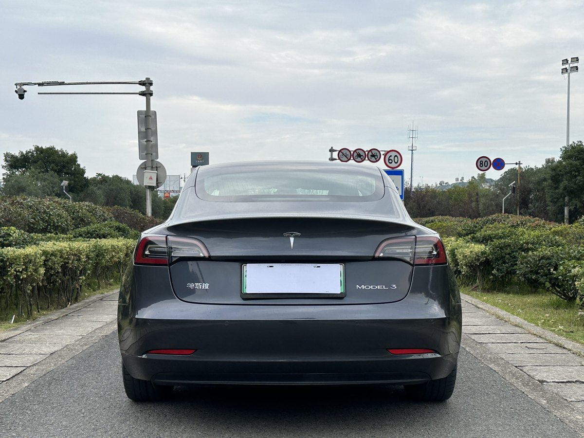 特斯拉 Model 3  2019款 標準續(xù)航后驅(qū)升級版圖片