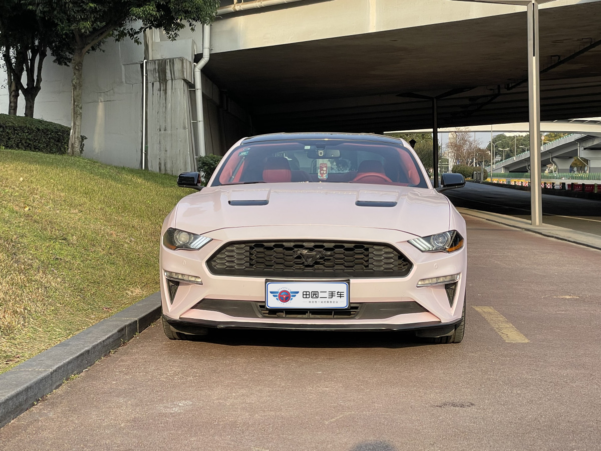 福特 Mustang  2019款 2.3L EcoBoost圖片