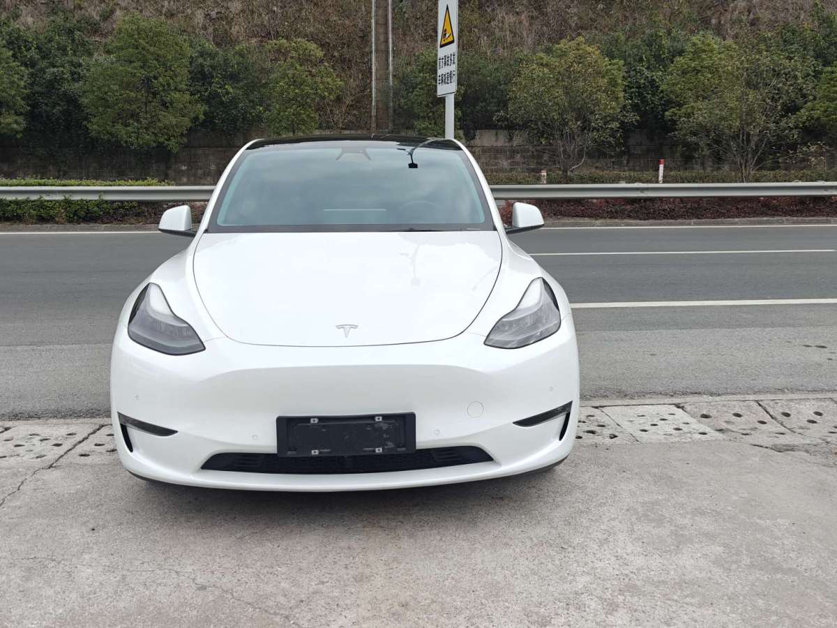 特斯拉 Model Y  2022款 長(zhǎng)續(xù)航全輪驅(qū)動(dòng)版圖片