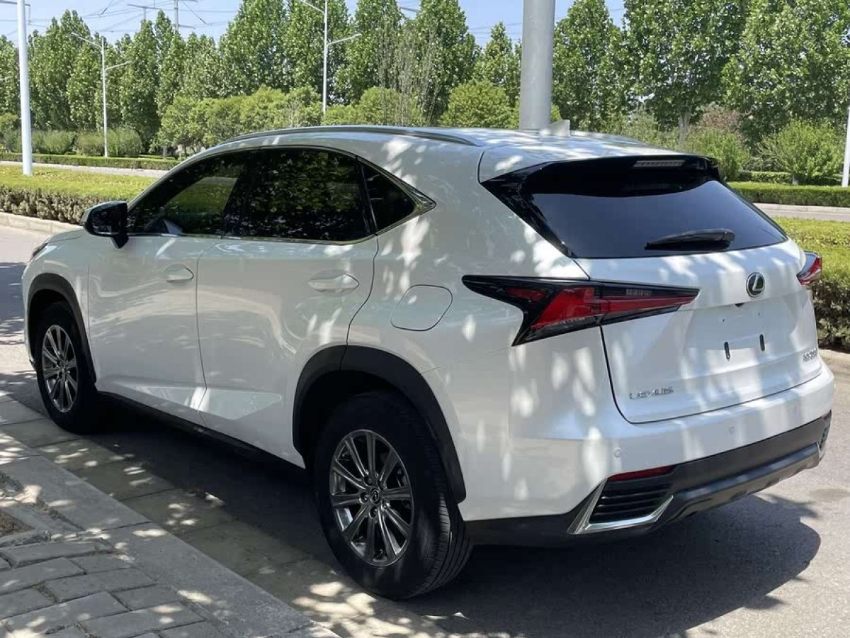雷克薩斯 NX  2020款 200 全驅(qū) 鋒尚版 國(guó)V圖片