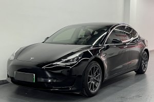 Model 3 特斯拉 标准续航后驱升级版