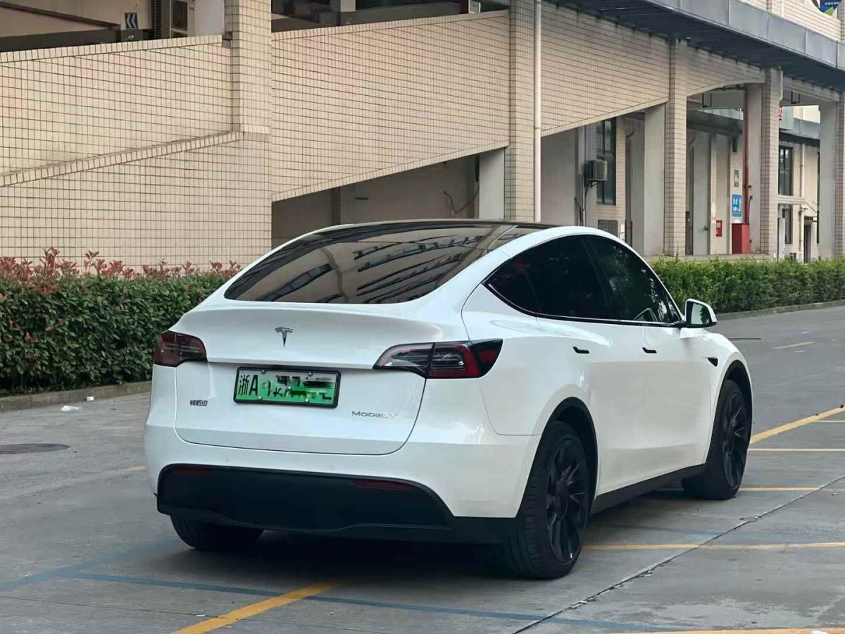 特斯拉 Model S  2023款 三電機(jī)全輪驅(qū)動(dòng) Plaid版圖片
