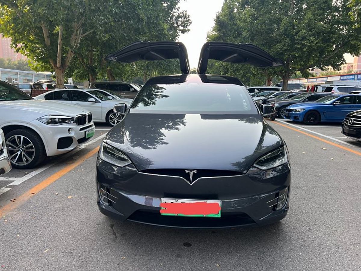 2019年9月特斯拉 Model X  2019款 長續(xù)航版