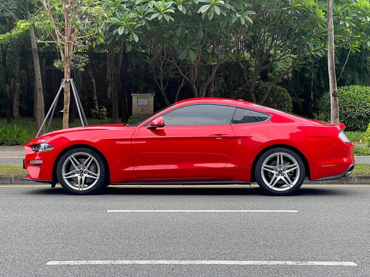 福特 Mustang  2019款 2.3L EcoBoost 性能加強(qiáng)版圖片