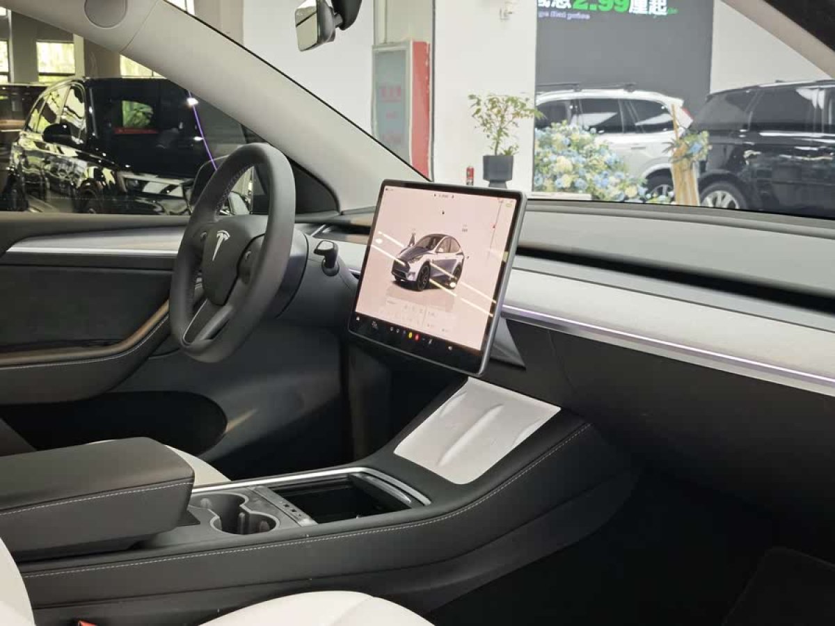 特斯拉 Model Y  2023款 高性能全輪驅(qū)動(dòng)版圖片