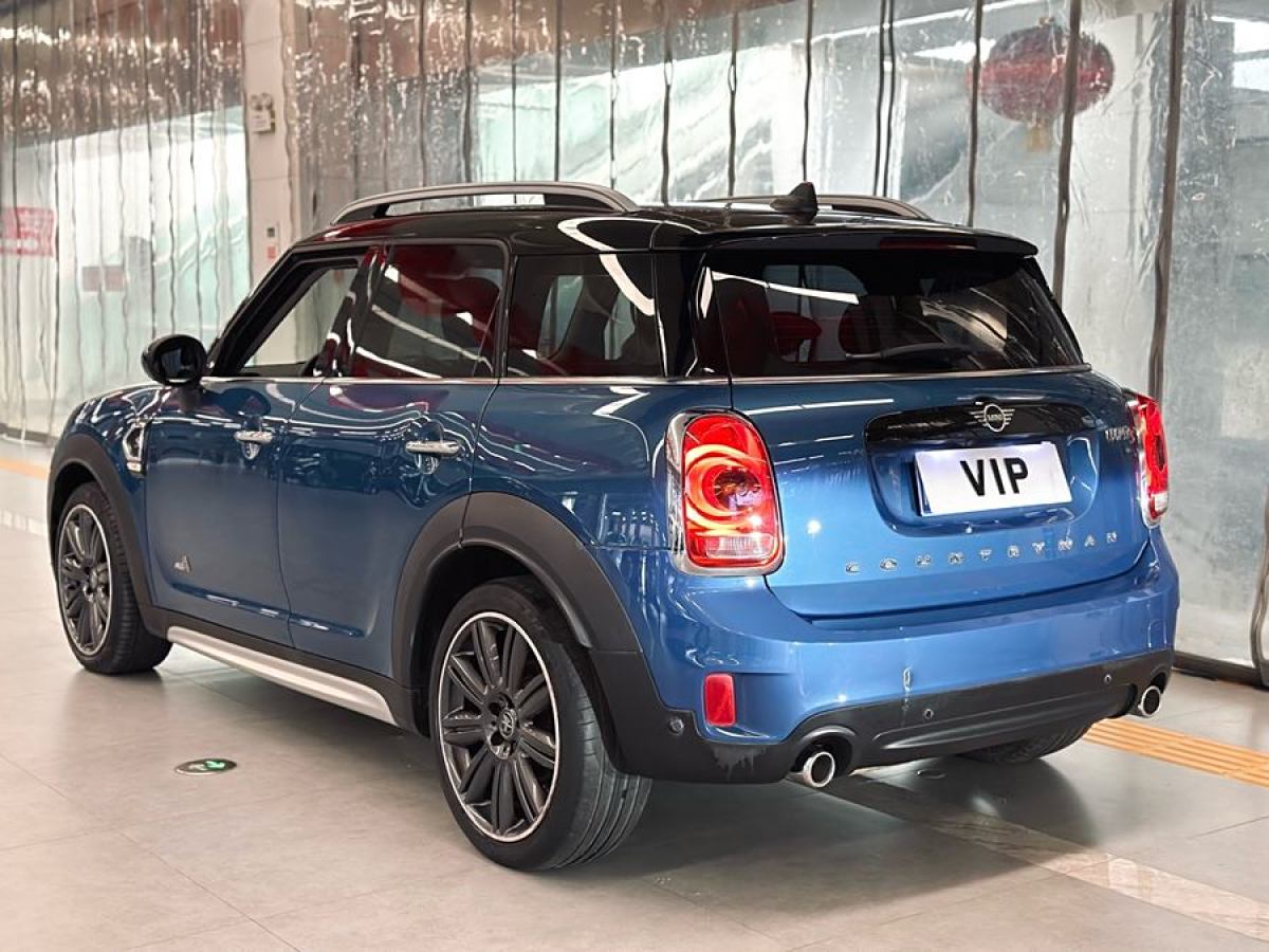 MINI COUNTRYMAN  2019款 2.0T COOPER S ALL4 藝術家圖片