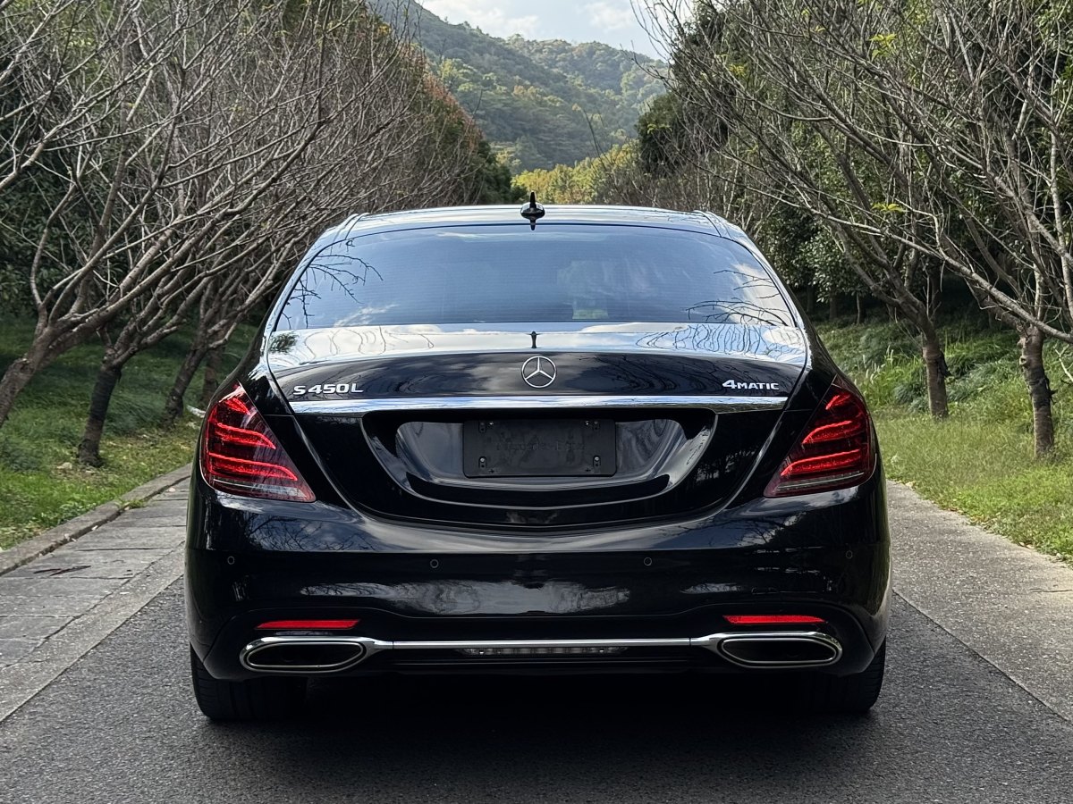 奔馳 奔馳S級  2019款 S 450 L 4MATIC 臻藏版圖片