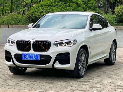 2020年8月 宝马 宝马X4(进口) xDrive25i M越野套装图片