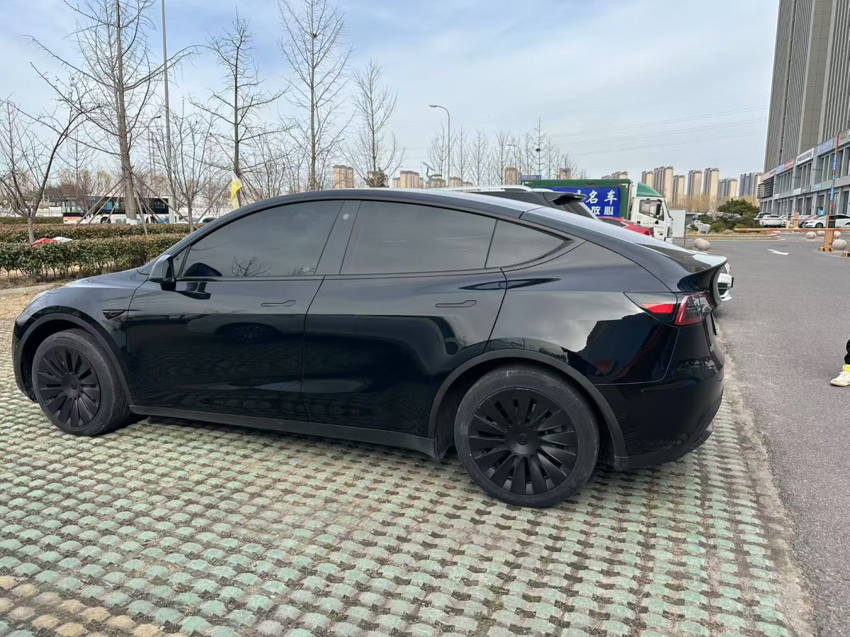 特斯拉 Model 3  2020款 改款 長續(xù)航后輪驅(qū)動版圖片